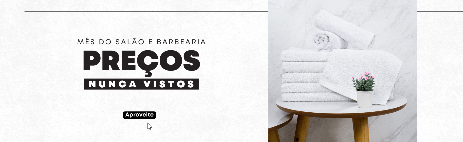 baner principal site modelo